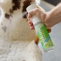 YOKUU Schoonmaakproducten | Schoonmaakproducten*Allesreiniger Startkit - 1 Sprayfles + 1 Parel
