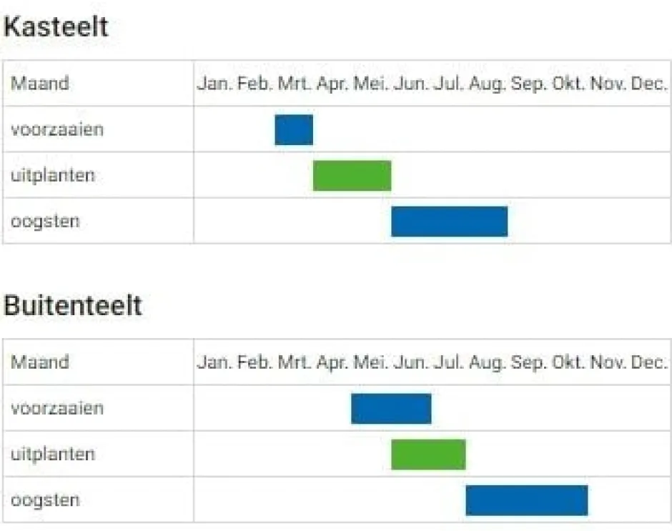 De Bolster Blad- En Stengelgewassen | Groenten*Andijvie 'Nummer Vijf2' - 2g - BIO