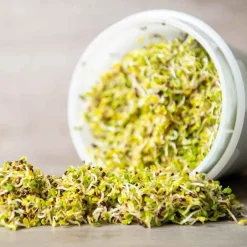 De Bolster Kiemgroenten*Broccolikers - Kiemgroente - 25g - BIO