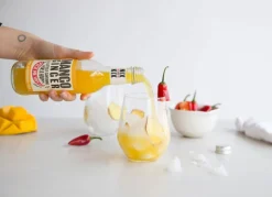 Nix & Kix Sap & Frisdranken*Frisdrank Mango-Ginger - 250ml