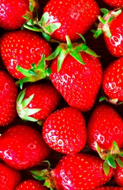 FiordiFrutta Fruitspreads*Fruitspread Aardbeien en wilde aardbeien 250g - BIO
