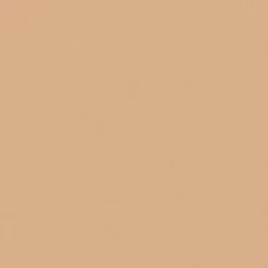 INIKA Gezicht/Concealer*Full Coverage Concealer - Sand - 3.5g - BIO