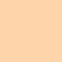 INIKA Gezicht/Concealer*Full Coverage Concealer - Shell - 3.5g - BIO