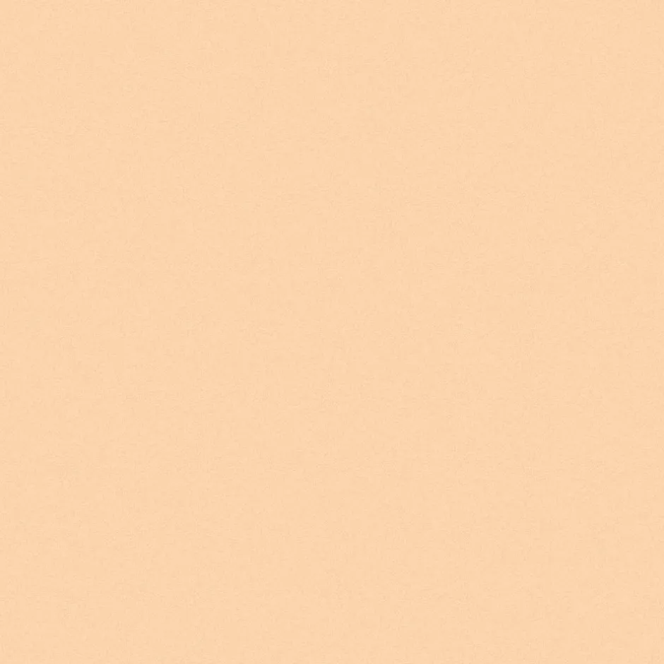INIKA Gezicht/Concealer*Full Coverage Concealer - Shell - 3.5g - BIO