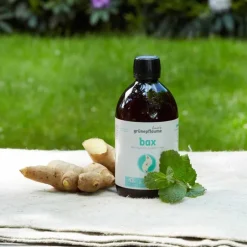 Grunepflaume Darmen | Probiotica*Gefermenteerd Micro-Organismen Complex - 500ml - BIO