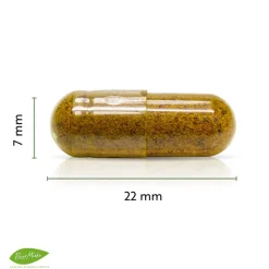 Puur Mieke Spijsvertering | Nachtrust*Groene Thee Extract - 460mg - 90 caps