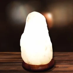 SelNature Stress | Nachtrust*Himalaya zoutlamp wit Natuurvorm