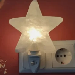 SelNature Zoutlampen | Luchtzuivering / Luchtverfrisser*Himalayazout nachtlamp voor stopcontact - Ster