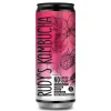 Rudy's Darmen | Kombucha*Kombucha - Framboos & Basilicum - 330ml