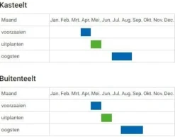De Bolster Vruchtgewassen | Groenten*Komkommer 'Telegraph improved' - 1,5g - BIO