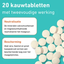 Purasana Overige Mineralen*Pura-Acid Pro - 20 tabletten
