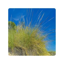 Eco-schuursponsjes Afwassponsjes, Doekjes En Borstels | Afwasborstels, Doekjes En Sponsjes*Schuurspons ESPARTO