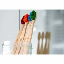 ecoLiving Mondverzorging/Tandenborstel | Tandenborstels*Tandenborstel voor Volwassenen - Groen