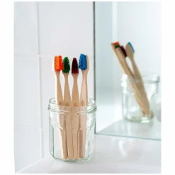 ecoLiving Mondverzorging/Tandenborstel | Tandenborstels*Tandenborstel voor Volwassenen - Blauw
