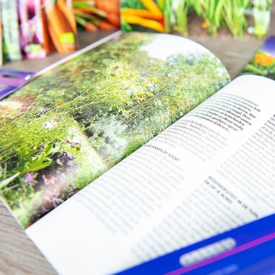 De Bolster Zadenpakket*Zadenpakket 'Startende moestuin' - BIO